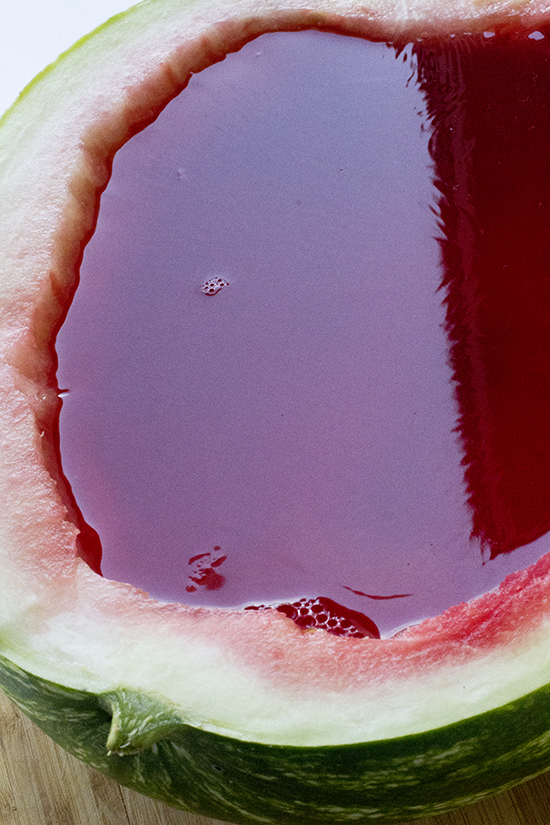 Watermelon Shots